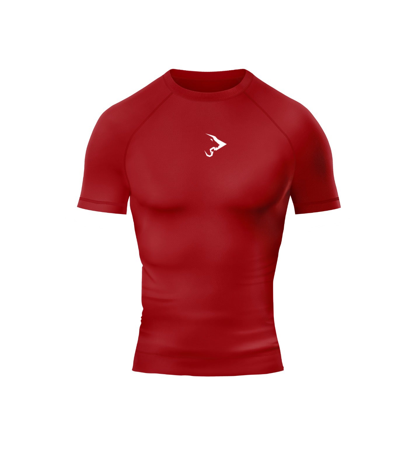 Pro+ Compression Erkek Tişört